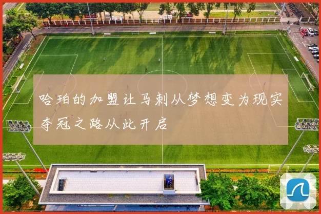 哈珀的加盟让马刺从梦想变为现实夺冠之路从此开启
